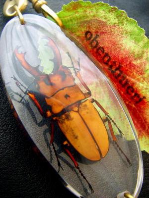 obenthueri[�I�[�x���`���[��]   �C���[�W�摜3