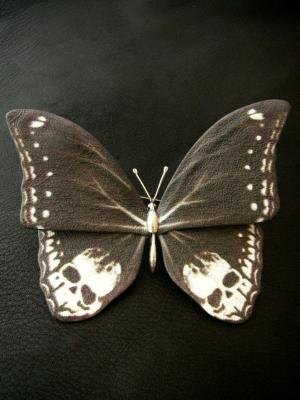 TORQUATA[�g���N�A�[�^]  �C���[�W�摜2
